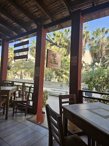 Wild Olive Trattoria & Guest House - Huacachina
