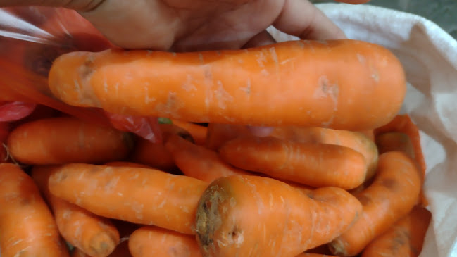 Opinii despre Verduraz y Fruta. De. "Felizita" în Caraz - Gastronomía y hostelería