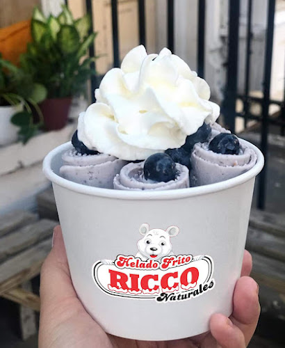 Helados Fritos RICCO