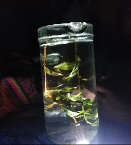 Pimpo's Disco Bar Karaoke