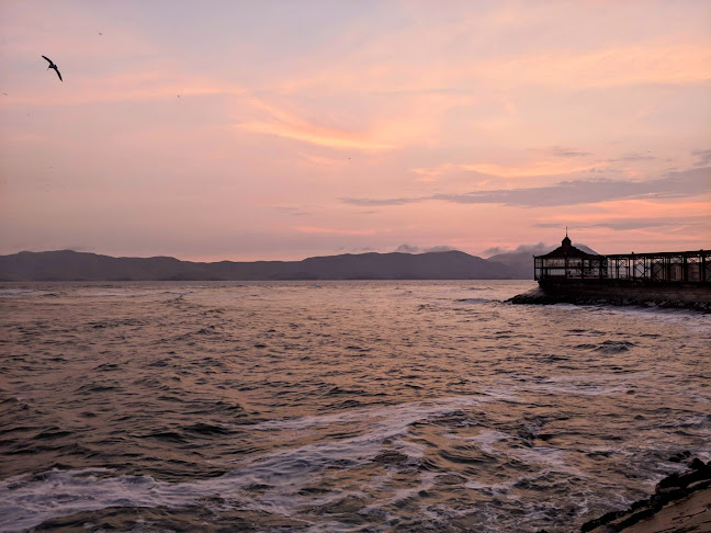 La Gaviota - Gastronomía y hostelería