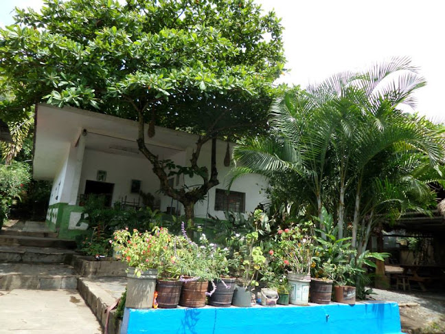 Comentarii opinii despre FUNDO LA COLMENA