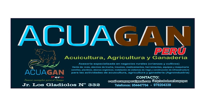 Opinii despre Kulky Restaurant - Cevichería în Cajamarca - Gastronomía y hostelería