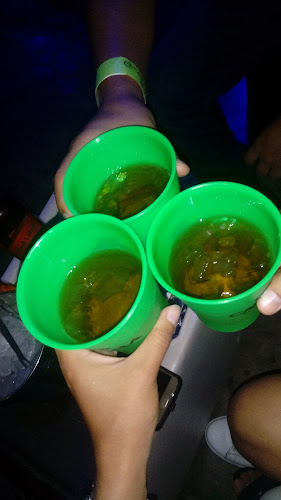 Comentarii opinii despre Carola Restobar