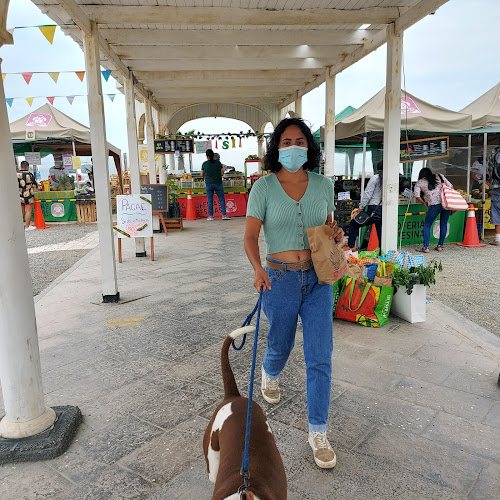 C. Francisco Masías 2602, Lince 15046