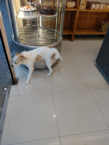 Eduardo's - Gastronomía y hostelería