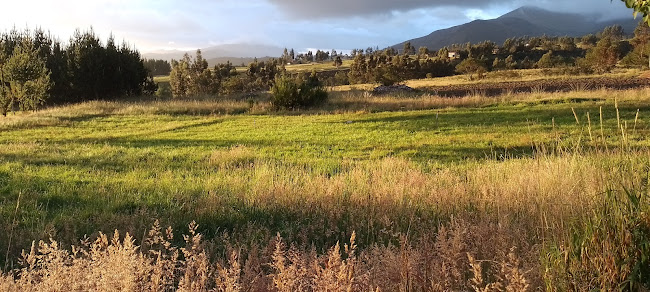 La Señora Patita - Cajamarca