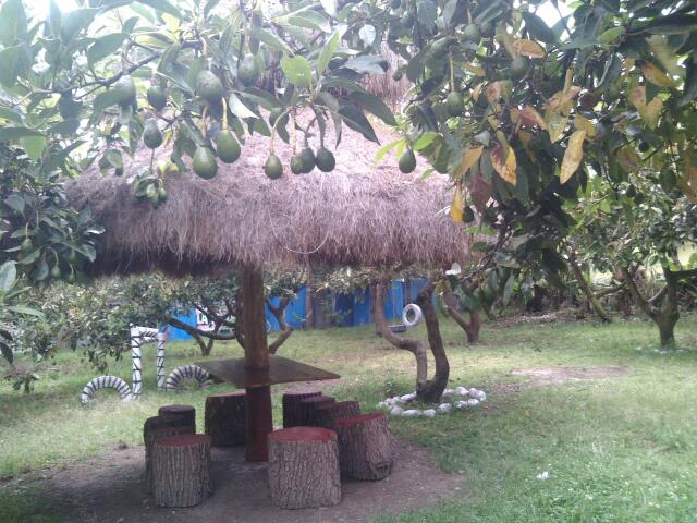 Comentarii opinii despre Recreo Campestre La Finca