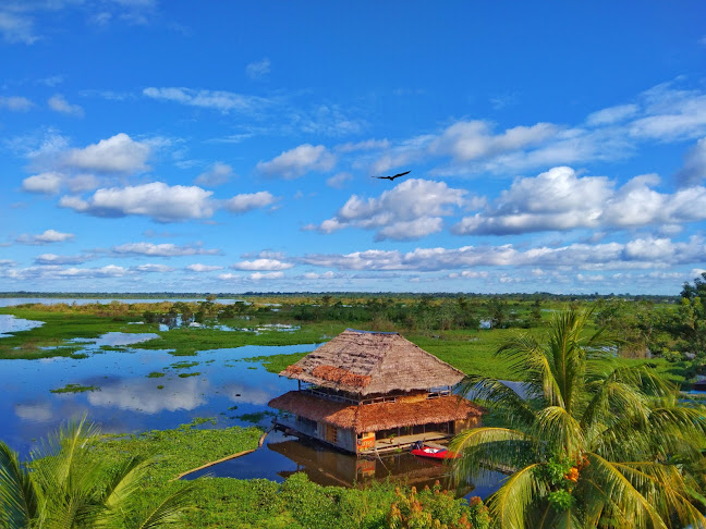 Dawn On The Amazon Café - Gastronomía y hostelería
