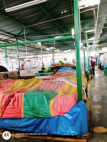 Av. Prol. Tacna 382-538, Lima 15093