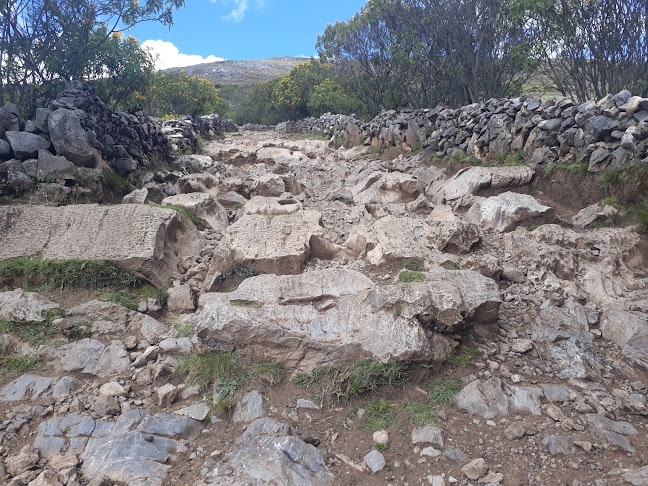 Comida Coreana - Gastronomía y hostelería
