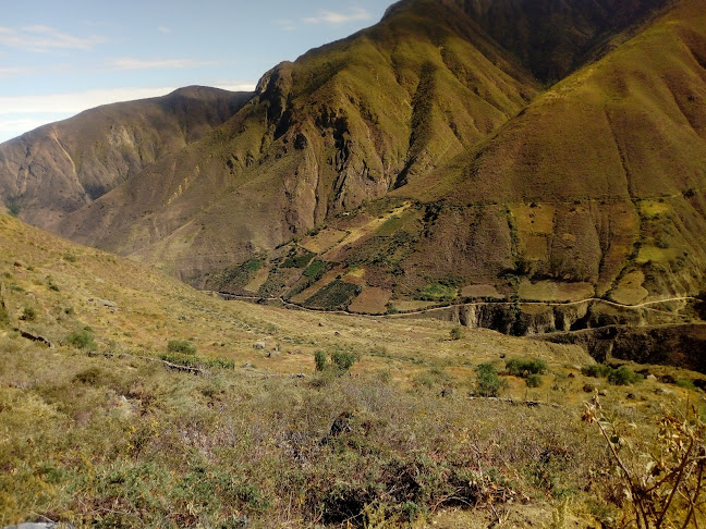 Comentarii opinii despre Restaurant Majestic