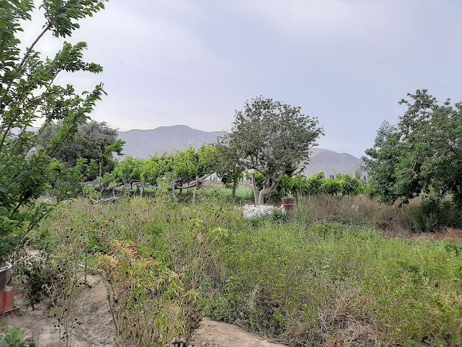 Opinii despre Festival criollo restaurante campestre în Lima - Gastronomía y hostelería