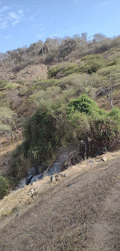 Opinii despre CEIBAL în Frías - Gastronomía y hostelería