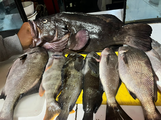 Cevicheria viña del mar - Paiján