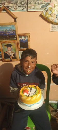 Jr. Pumacahua Nº151, Juliaca