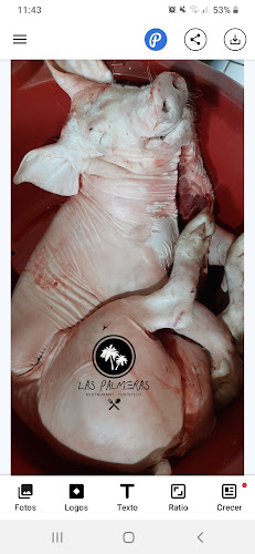 Comentarii opinii despre Restaurant Turistico La Esquina de Las Palmeras