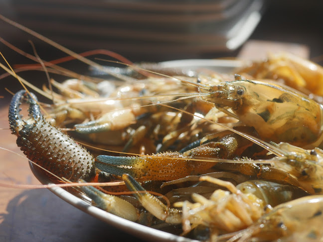 Av. Sta. Cruz 497, Santa Cruz de Flores 15605