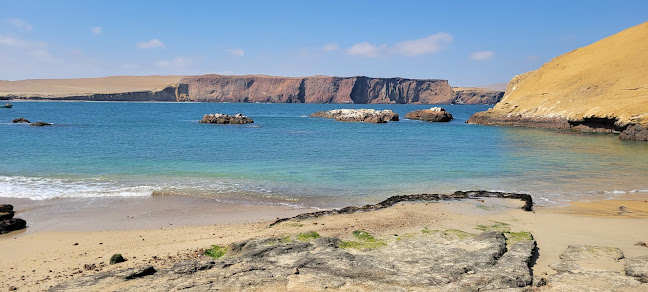 Restaurant-Cevichería La Tia Fela - Gastronomía y hostelería