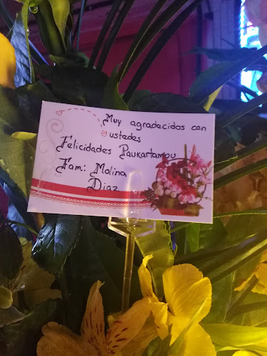 Av Tullumayo 483, Cusco 08002