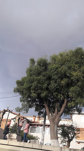 Chifa - Chino Toño - Gastronomía y hostelería