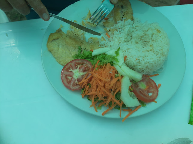 Restaurante Campestre "Los Cedros" - Gastronomía y hostelería