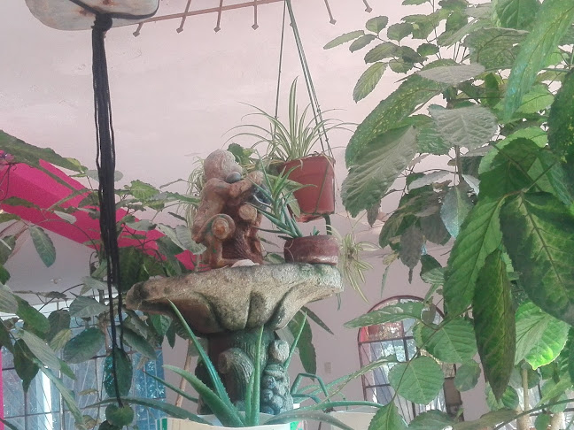 Restaurant La Copa - Gastronomía y hostelería