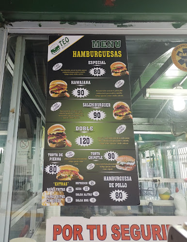 Comentarii opinii despre Teo Burger