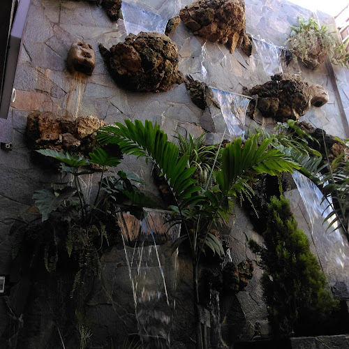 Opinii despre Imperio Inca în Chincha Alta - Gastronomía y hostelería