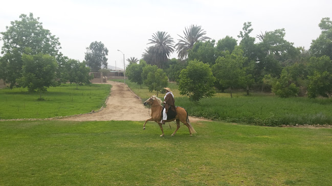 Hotel Casa Hacienda - Gastronomía y hostelería