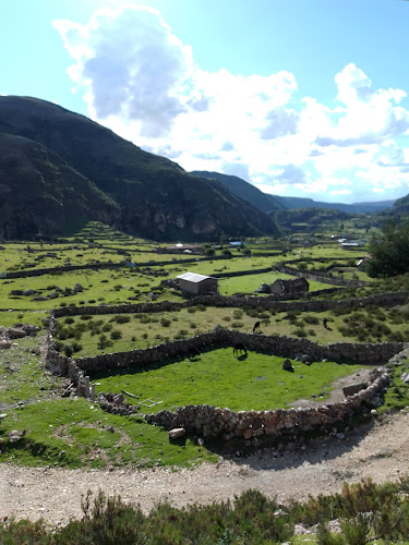 Opinii despre Mercado Mayorista de Papa în Andahuaylas - Gastronomía y hostelería