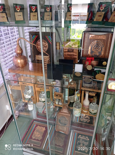 Tienda Pisco Biondi - Gastronomía y hostelería