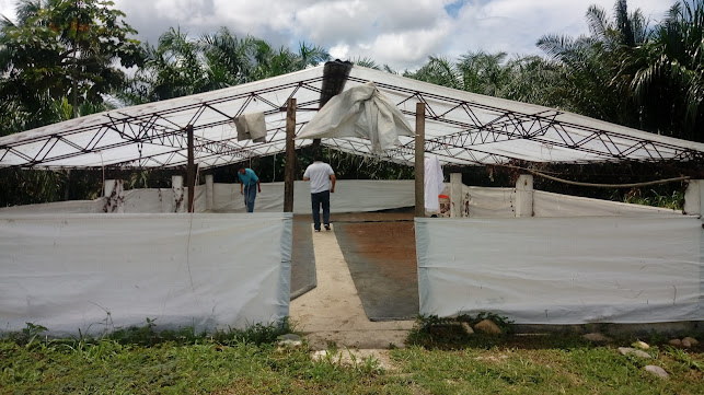 Heladería Willy - Bambamarca