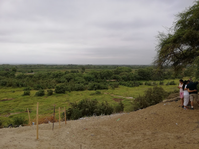 Mirador Los Ejidos Curumuy