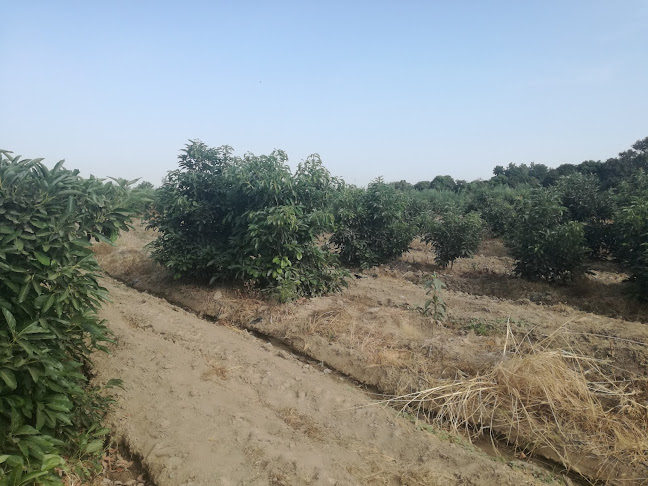 Comentarii opinii despre Hotel Casa Hacienda