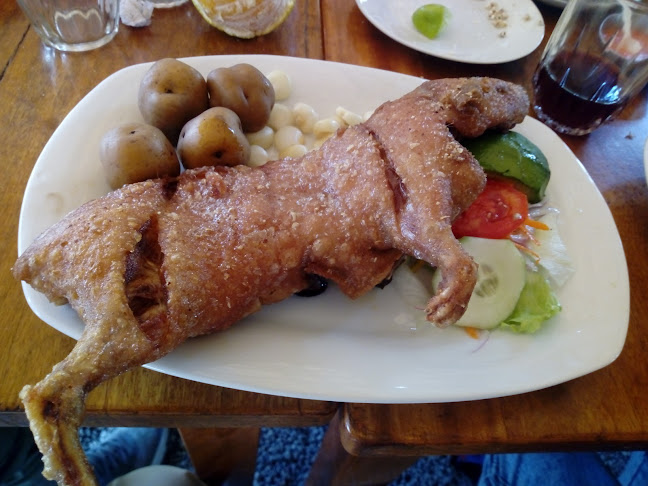 Recreo Campestre El Pionero. San Miguel De Mayocc - Gastronomía y hostelería