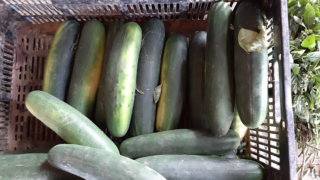 Fruteria y verdureria Panchito