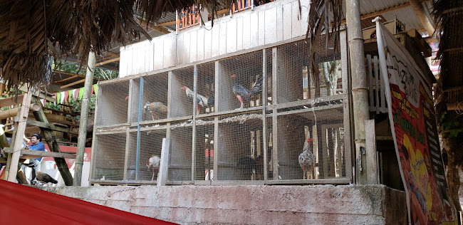 La choza de la abuelita 1 - Gastronomía y hostelería