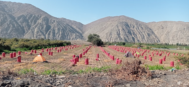 Opinii despre Rest. El algarrobo de Tayca în Chilca - Gastronomía y hostelería