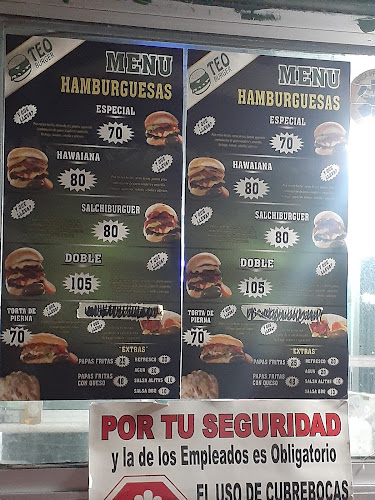 Teo Burger - Guadalupe