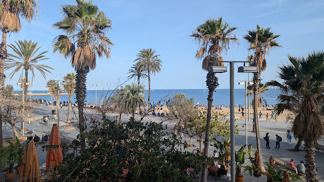 Comentarii opinii despre Barro Barcelona