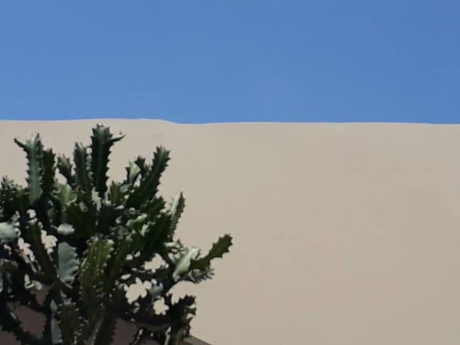 Opinii despre Wild Olive Trattoria & Guest House în Huacachina - Gastronomía y hostelería