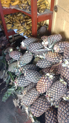 Mercado Pisco - Gastronomía y hostelería