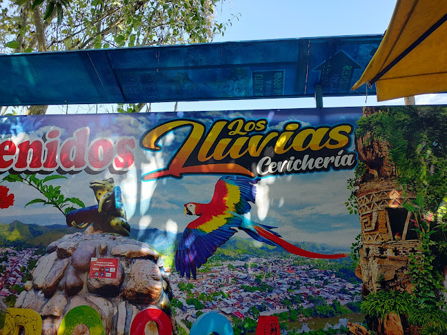 36CF+5PF, Av. Loreto, Saposoa 22661