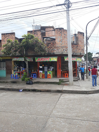 Jugos y extractos - Gastronomía y hostelería