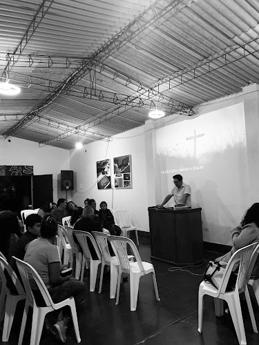 Cevicheria "El Pez Jugador" - EL BOSQUE - Gastronomía y hostelería