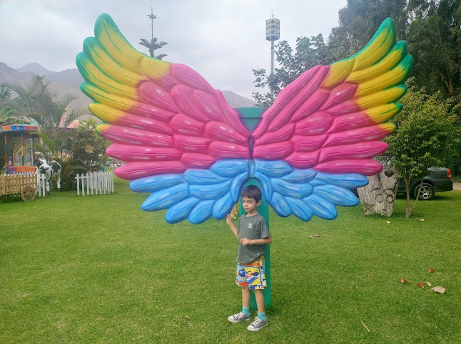 Nuevo toledo km 27.5, Cieneguilla 15593