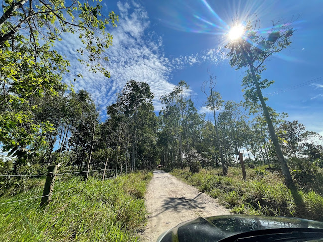 Opinii despre Reserva Forestal Motilones - Restaurant în Moyobamba - Gastronomía y hostelería