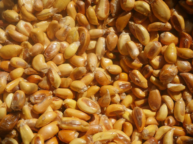 Comentarii opinii despre Restobar D' Gregorio