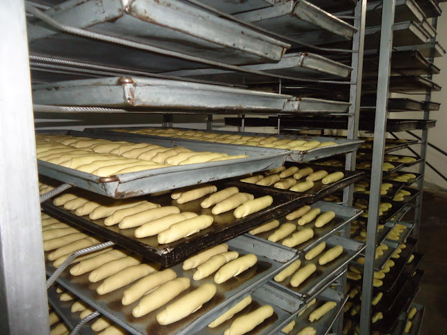 3M4Q+227, Jiron. Libertad, Nueva Cajamarca 22846